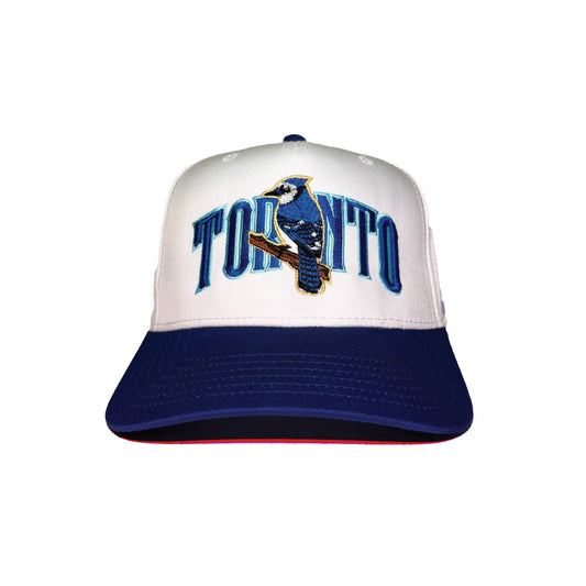 Toronto Jays Hat
